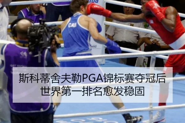 si-ke-di-she-fu-lei-jin-biao-sai-duo-guan-hou-shi-jie-di-yi-pai-ming-yu-fa-wen-gu-3-317.jpg