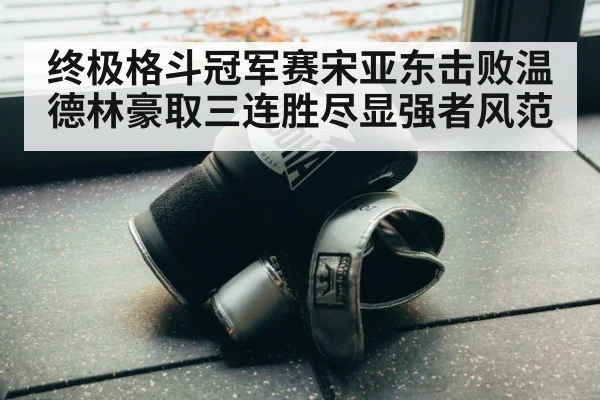 终极格斗冠军赛宋亚东击败温德林豪取三连胜尽显强者风范
